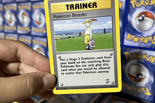 Trainer Pokémon Breeder