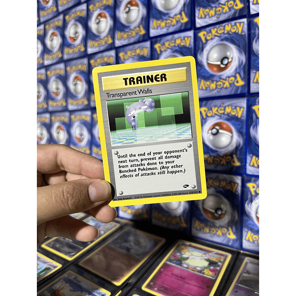 Trainer Transparent Walls