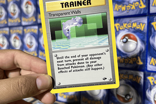 Trainer Transparent Walls