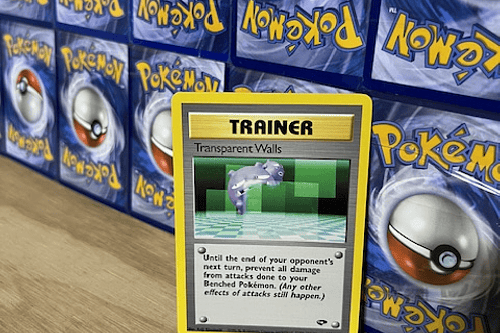 Trainer Transparent Walls