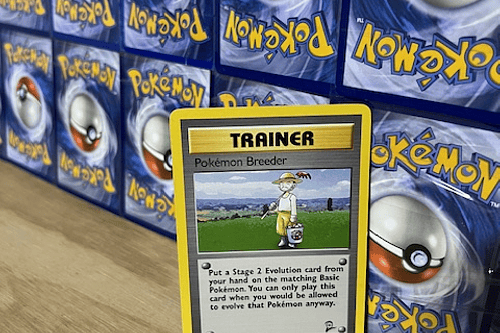 Trainer Pokémon Breeder