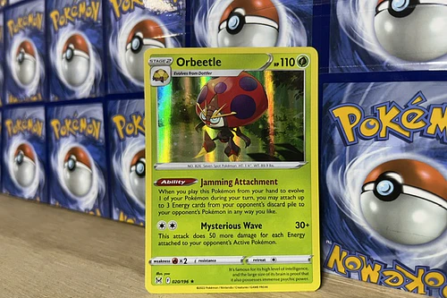 Orbeetle