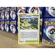 Trainer Collapsed Stadium
