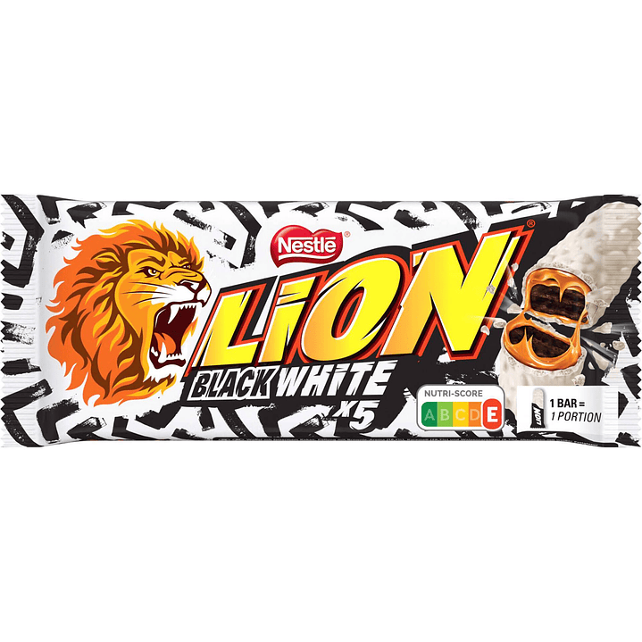 Lion Black White  1