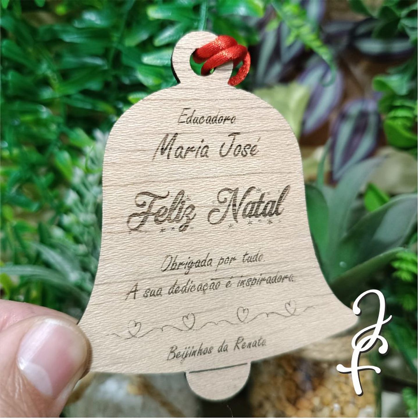 Sino para Pinheirinho 4