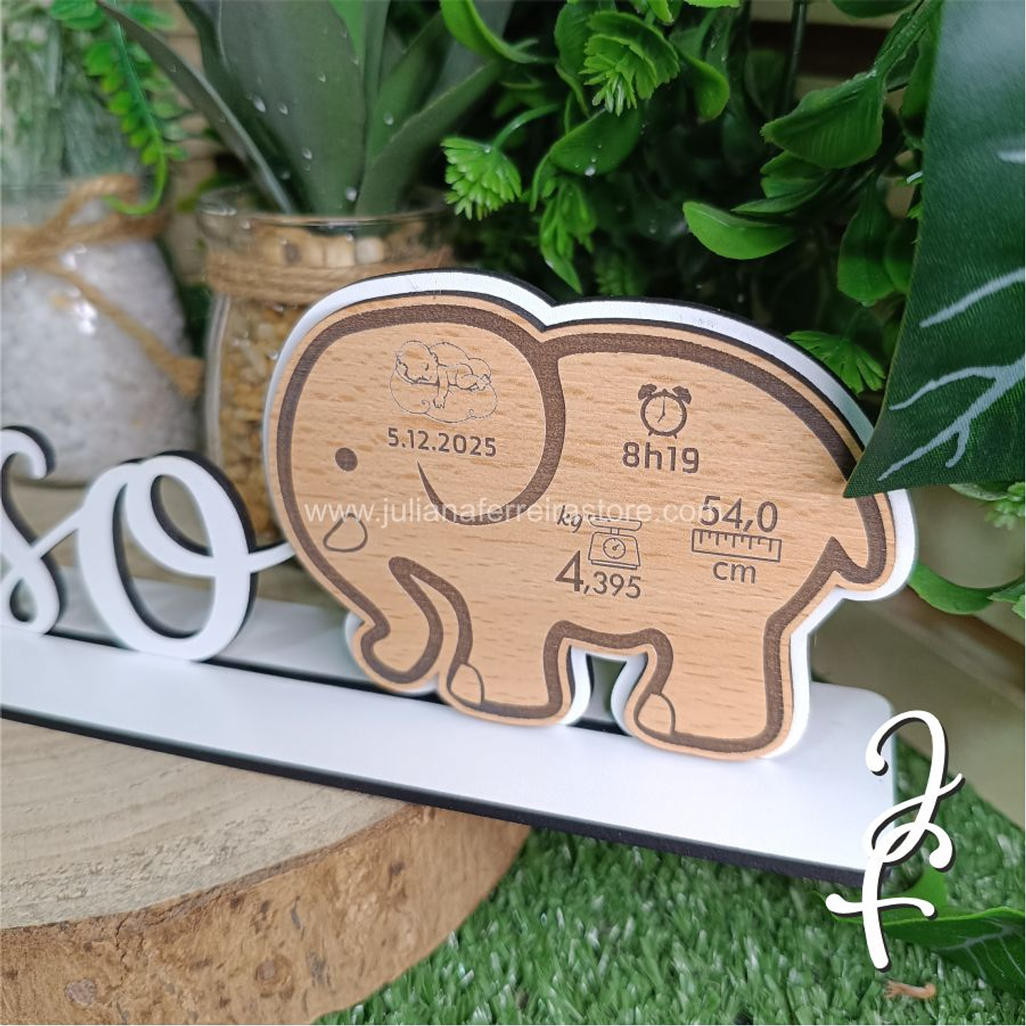 Nome Pousar Elefante com Dados Nascimento 3