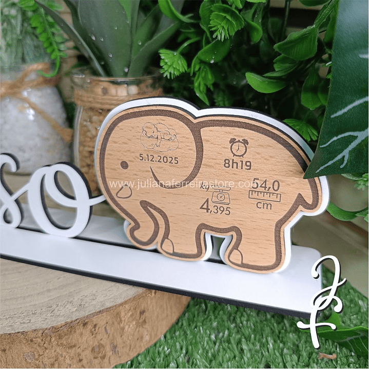 Nome Pousar Elefante com Dados Nascimento 3