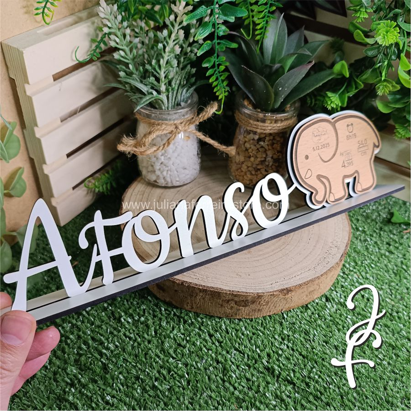 Nome Pousar Elefante com Dados Nascimento 4