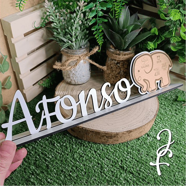 Nome Pousar Elefante com Dados Nascimento 4