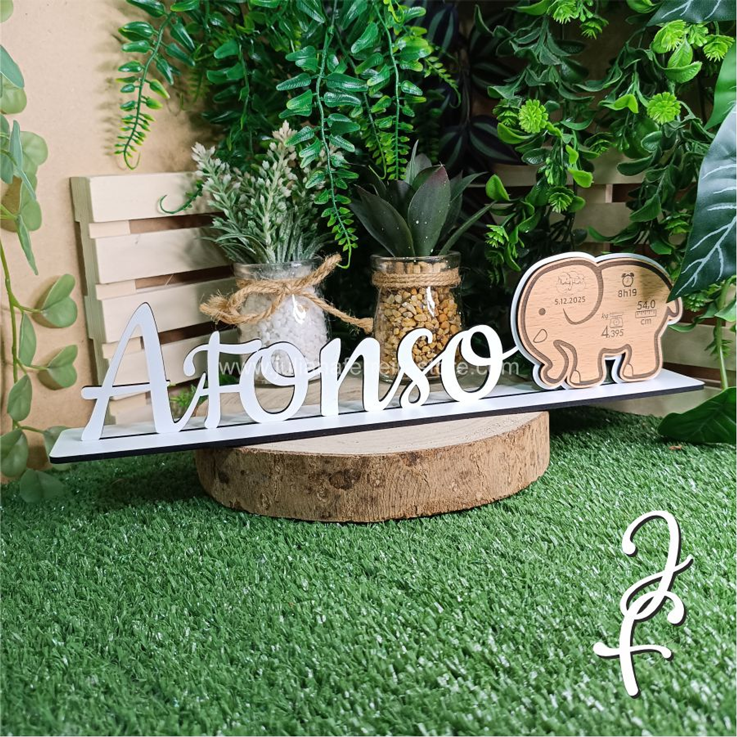 Nome Pousar Elefante com Dados Nascimento 5