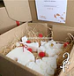 Conjunto 3 velas de natal - Thumbnail 6