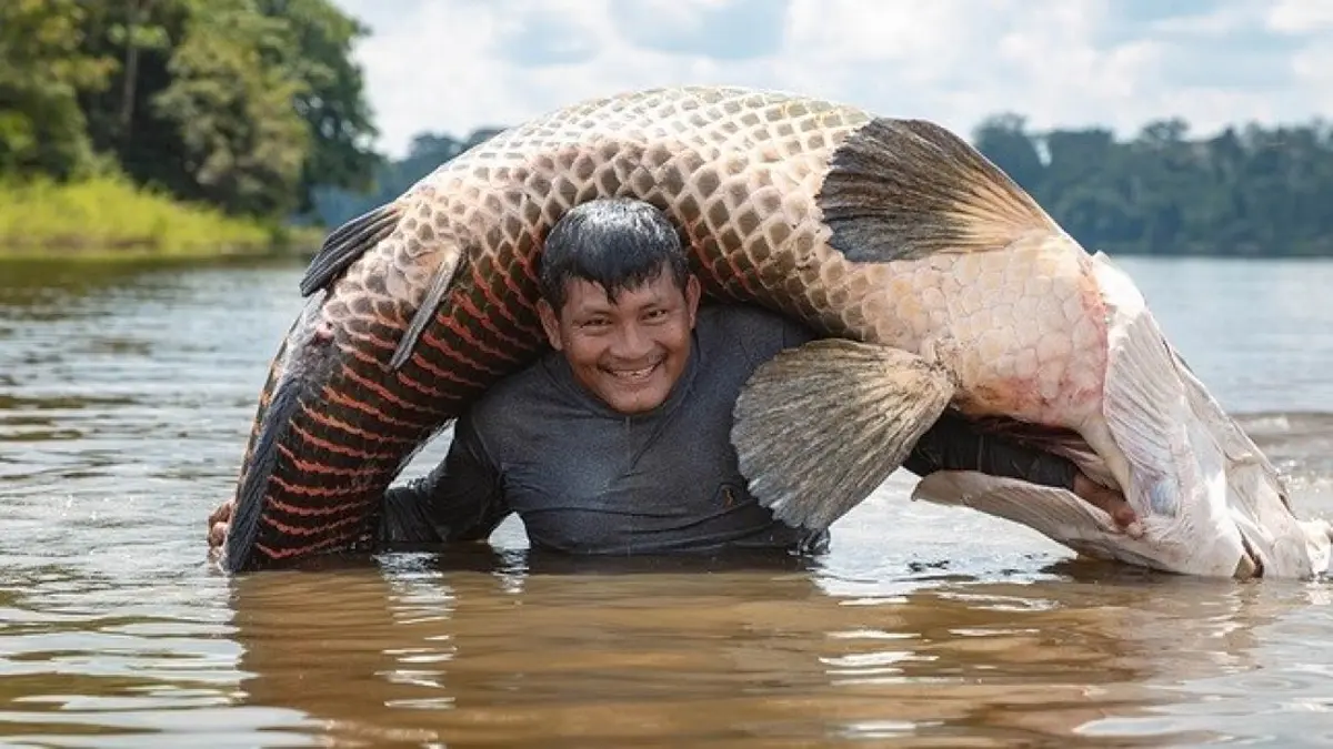 Pesca