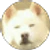 Pepe Padilla