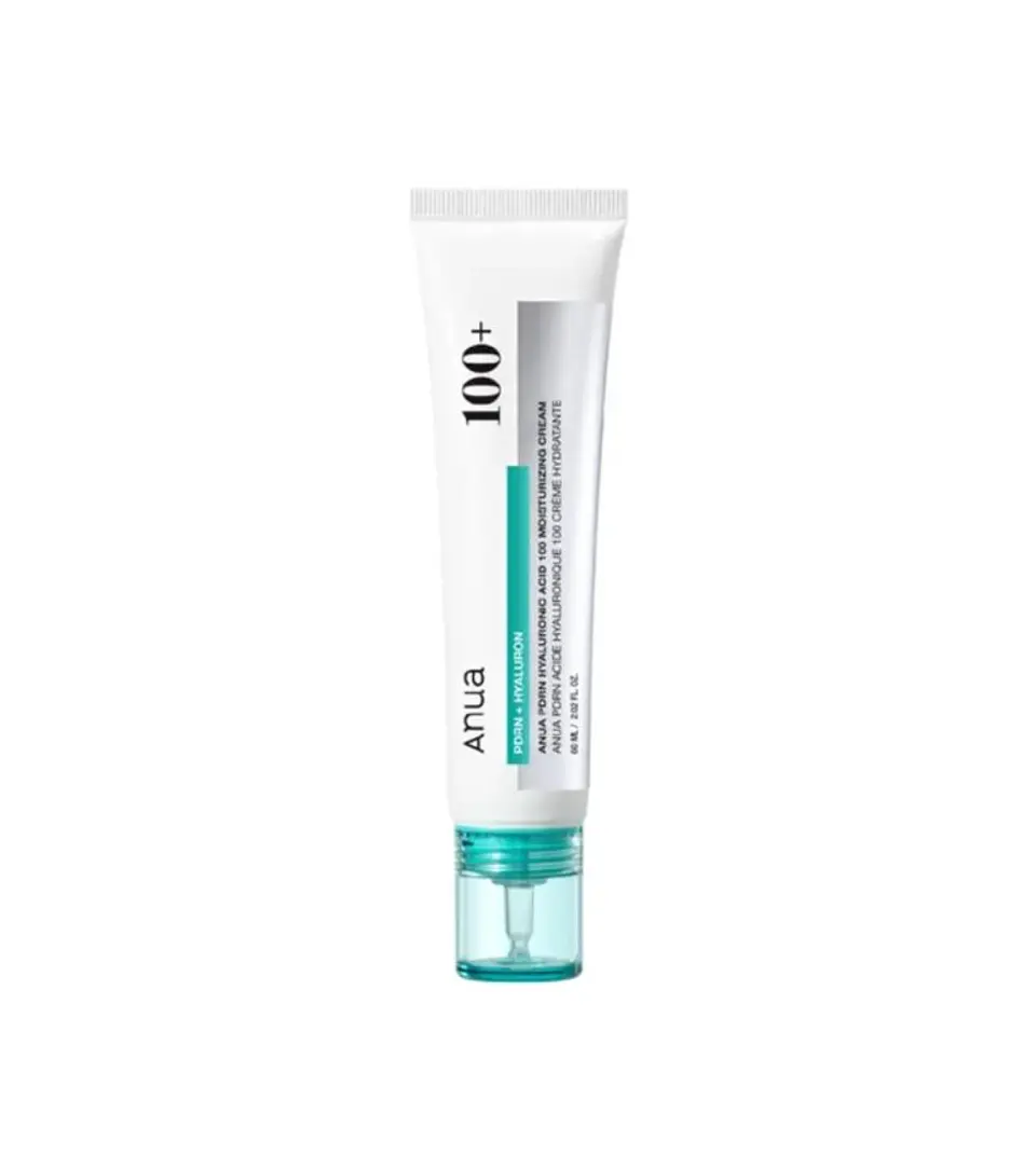 Anua PDRN Hyaluronic Acid 100 Moisturizing Cream (60ml) 1