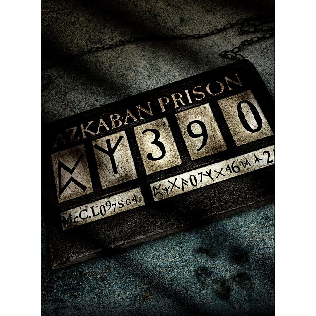 Caderno de Leitura 📖 Book Journal 12