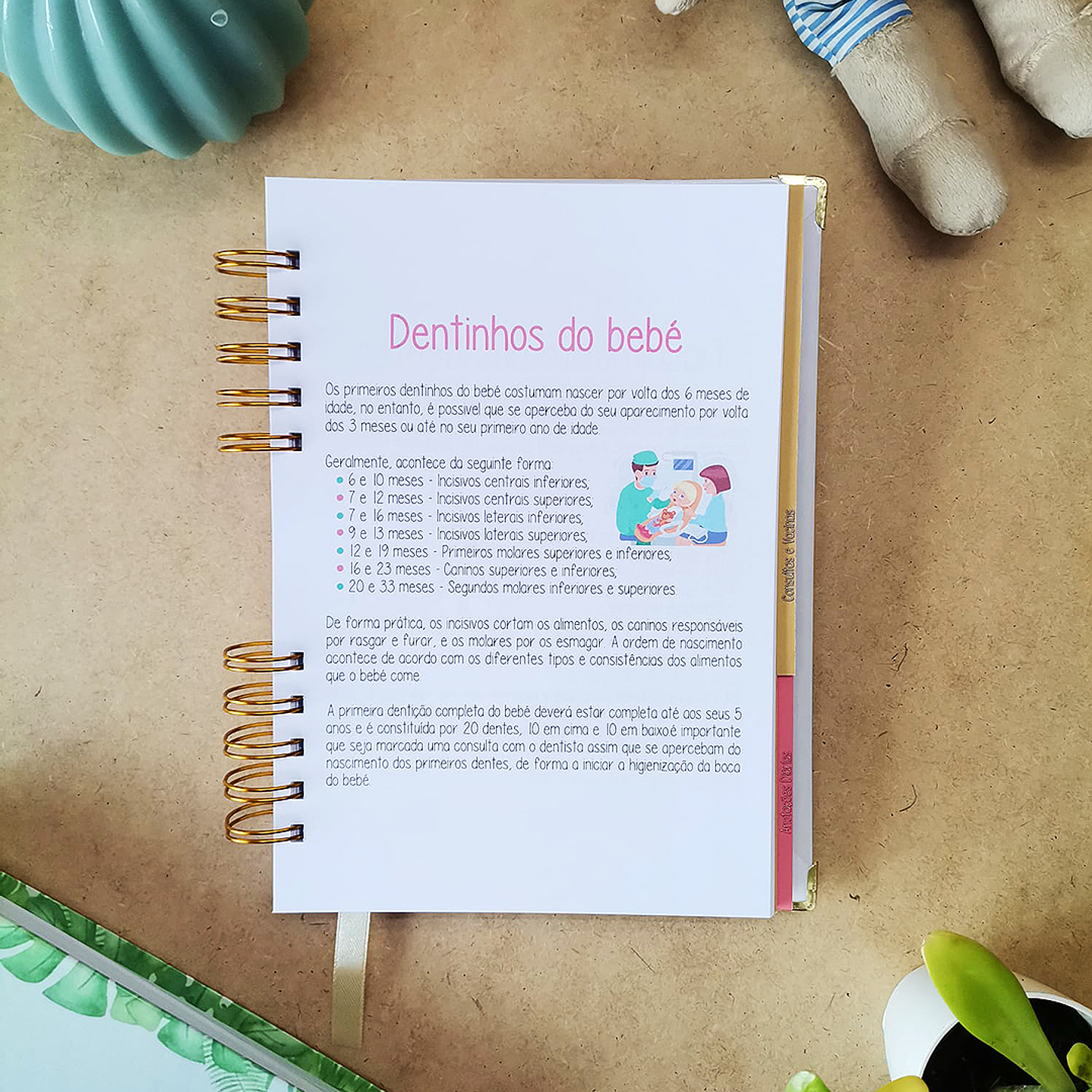 Agenda de Bebé 🍼 8