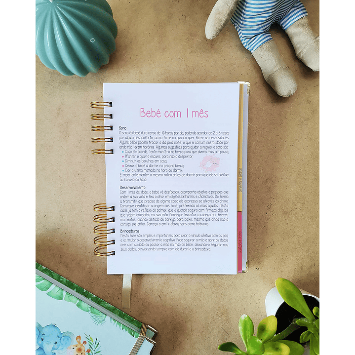 Agenda de Bebé 🍼 10