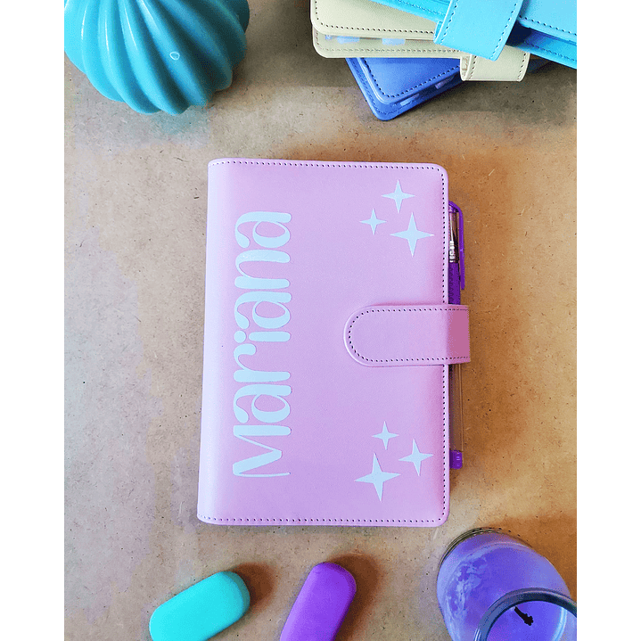 Budget Binder Rosa 💰 Pasta de Poupanças 1