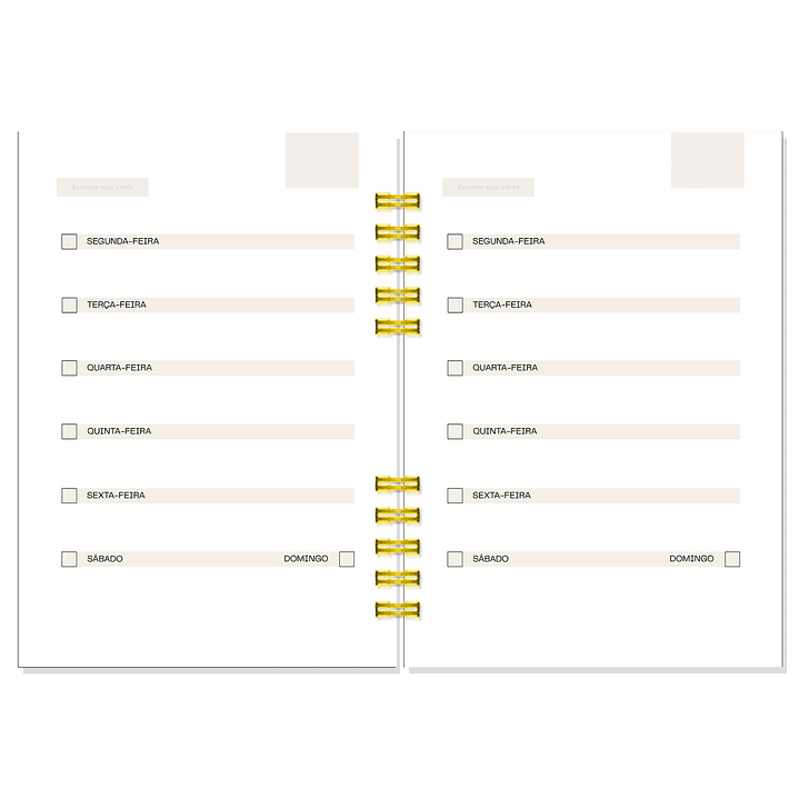 Planner Não Datado - Psicóloga Mara Silva 8
