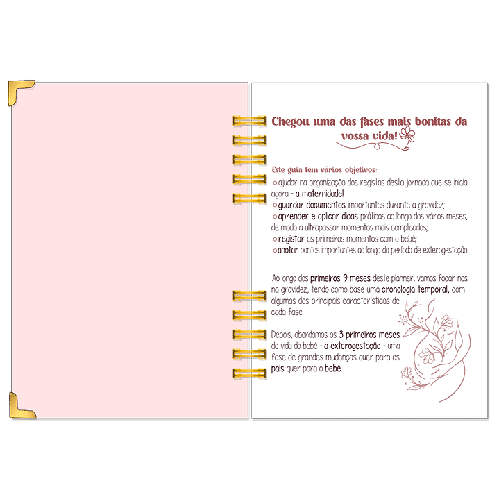 Diário dos 4 Trimestres - Cátia Fernandes Aromaterapia 3