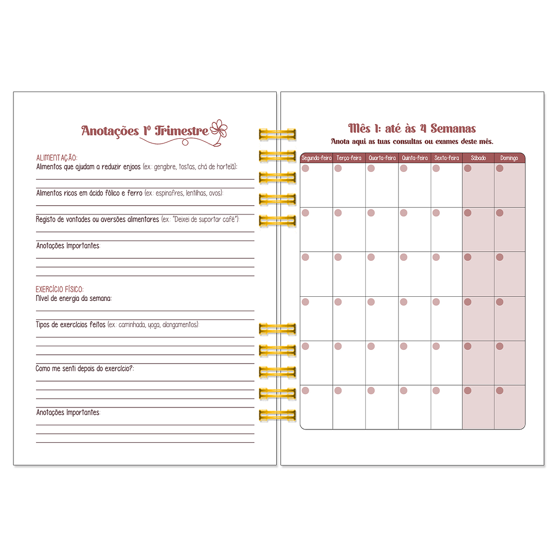 Diário dos 4 Trimestres - Cátia Fernandes Aromaterapia 8