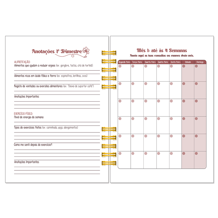Diário dos 4 Trimestres - Cátia Fernandes Aromaterapia 8