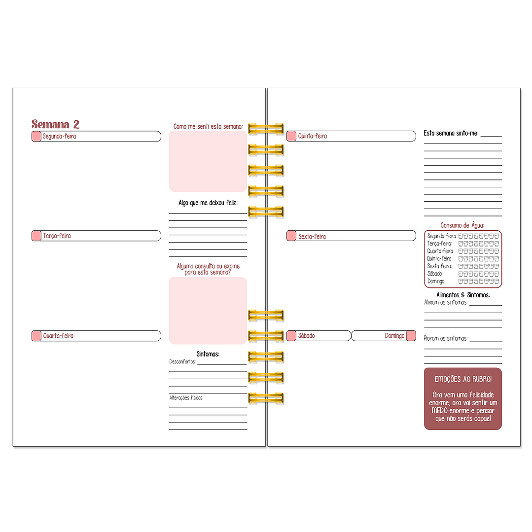 Diário dos 4 Trimestres - Cátia Fernandes Aromaterapia 10
