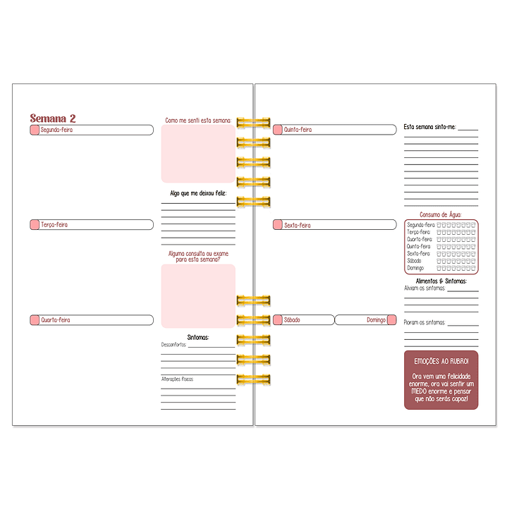 Diário dos 4 Trimestres - Cátia Fernandes Aromaterapia 10