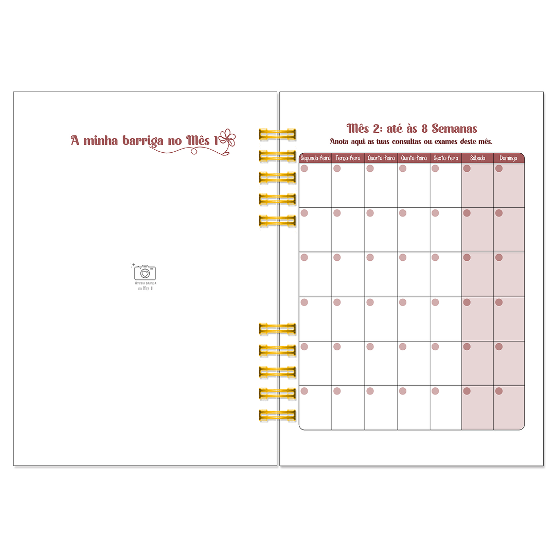 Diário dos 4 Trimestres - Cátia Fernandes Aromaterapia 11