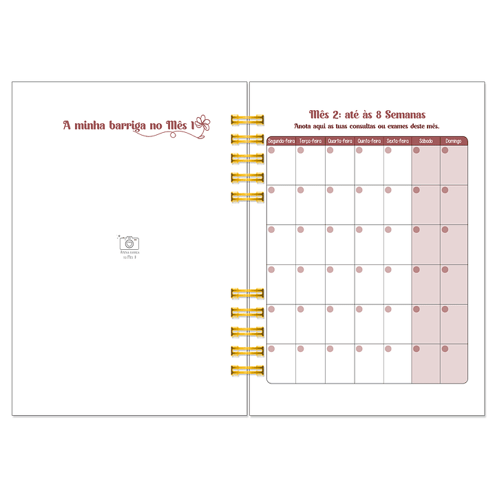 Diário dos 4 Trimestres - Cátia Fernandes Aromaterapia 11