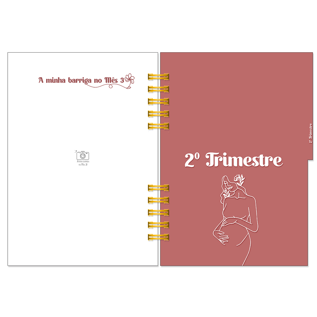 Diário dos 4 Trimestres - Cátia Fernandes Aromaterapia 12