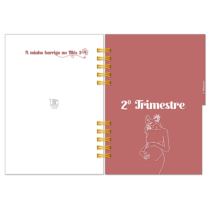 Diário dos 4 Trimestres - Cátia Fernandes Aromaterapia 12