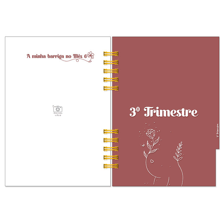 Diário dos 4 Trimestres - Cátia Fernandes Aromaterapia 13