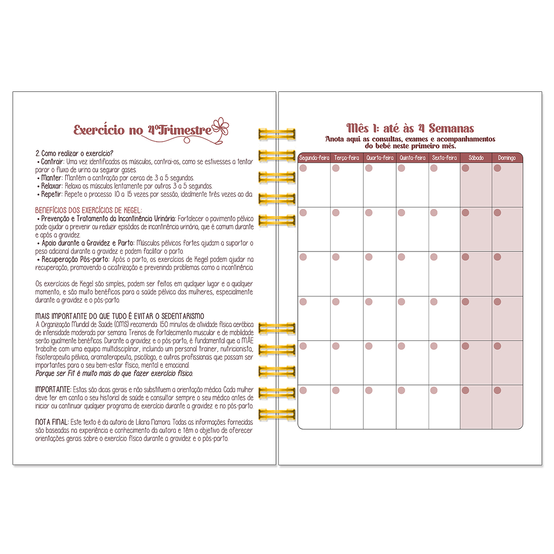 Diário dos 4 Trimestres - Cátia Fernandes Aromaterapia 17