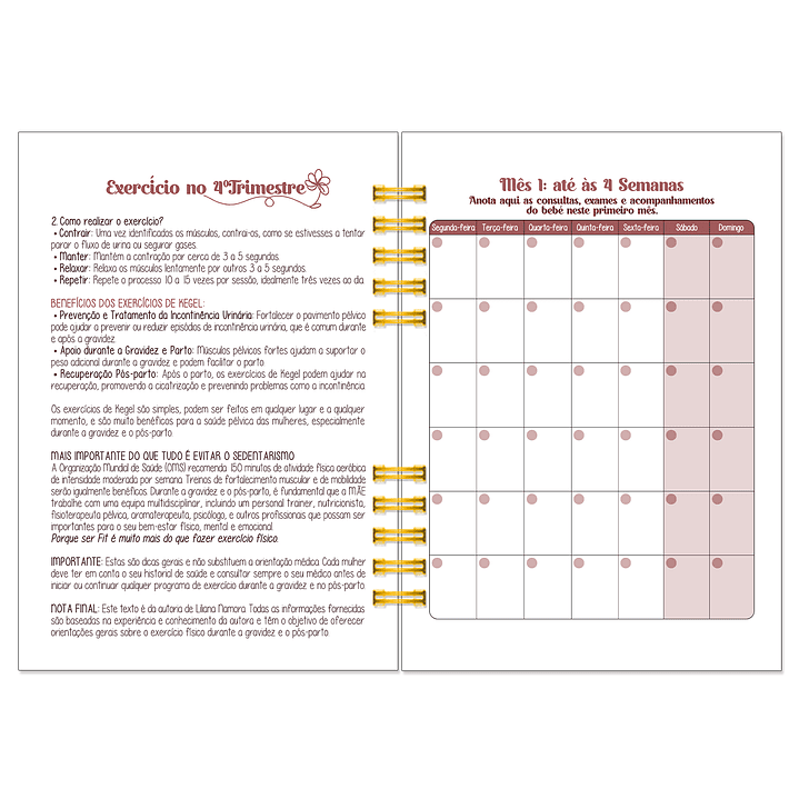 Diário dos 4 Trimestres - Cátia Fernandes Aromaterapia 17