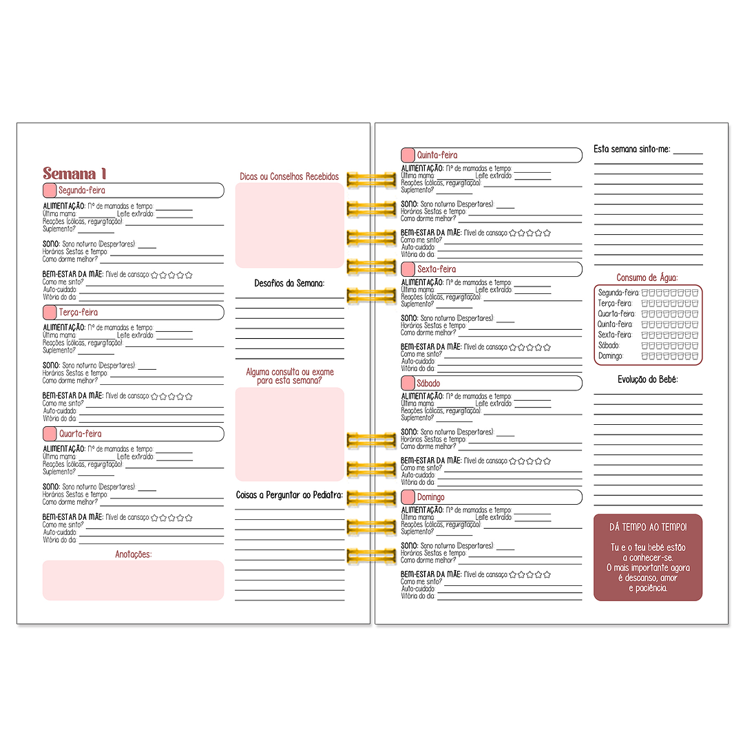 Diário dos 4 Trimestres - Cátia Fernandes Aromaterapia 18