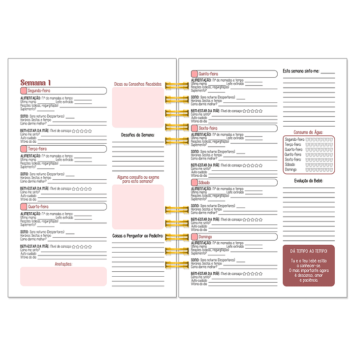Diário dos 4 Trimestres - Cátia Fernandes Aromaterapia 18