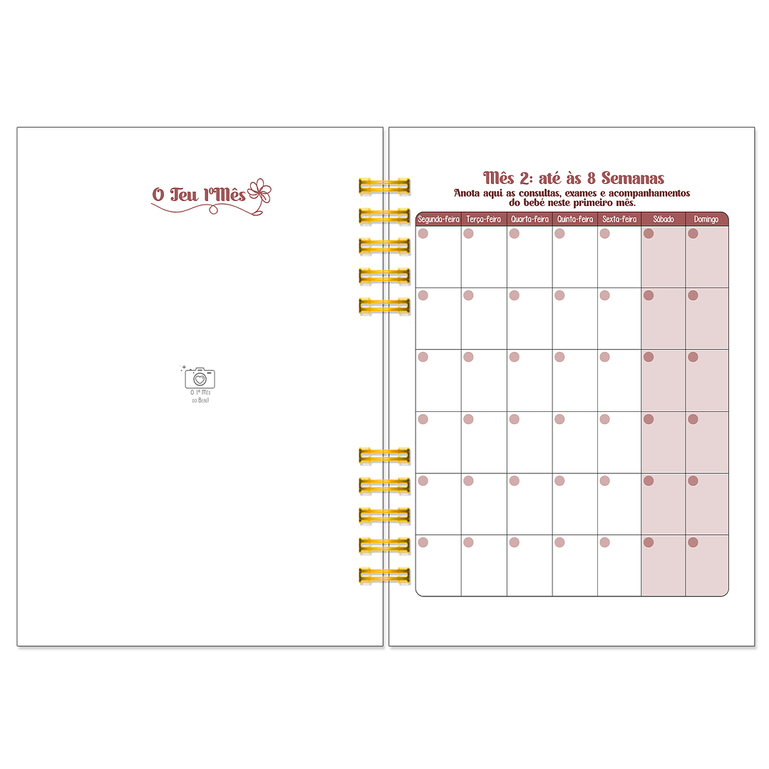 Diário dos 4 Trimestres - Cátia Fernandes Aromaterapia 19