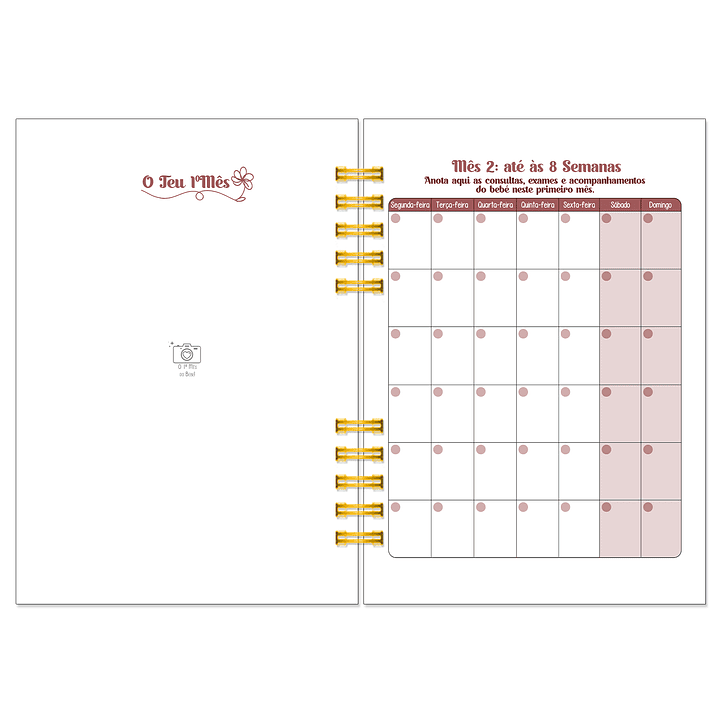 Diário dos 4 Trimestres - Cátia Fernandes Aromaterapia 19