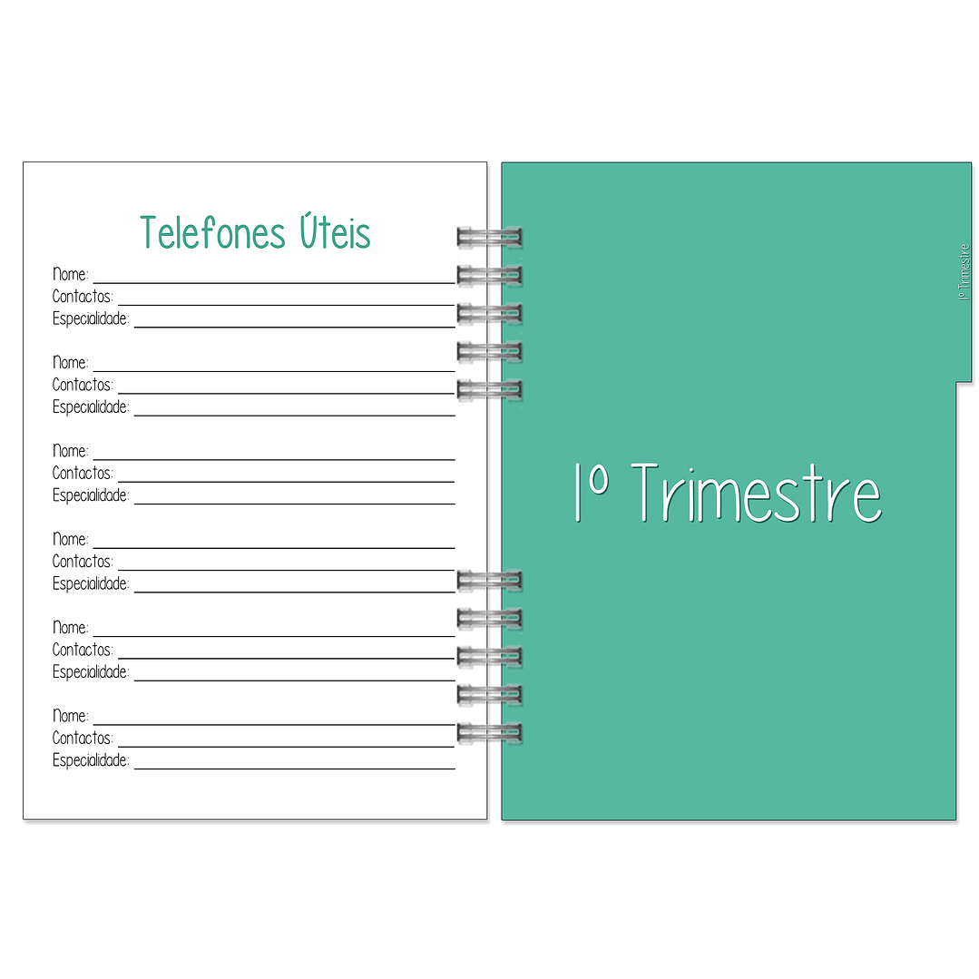 Agenda da Grávida 🤰 4