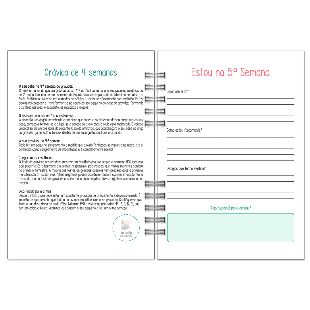 Agenda da Grávida 🤰 10