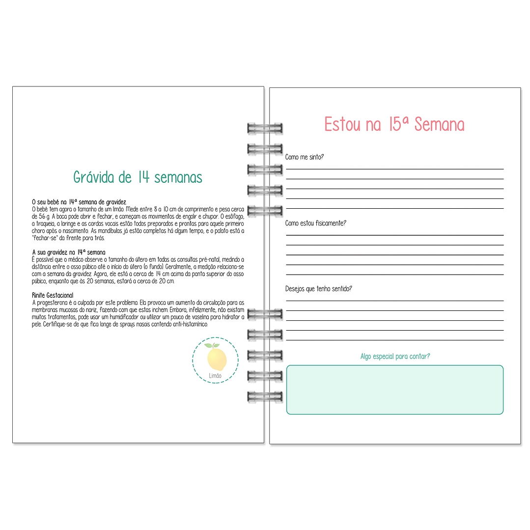 Agenda da Grávida 🤰 13