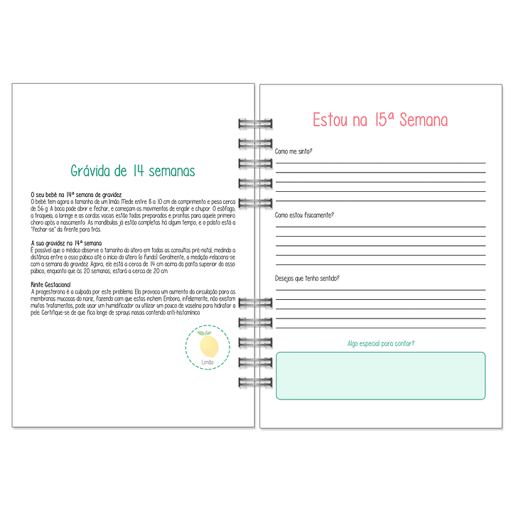 Agenda da Grávida 🤰 13