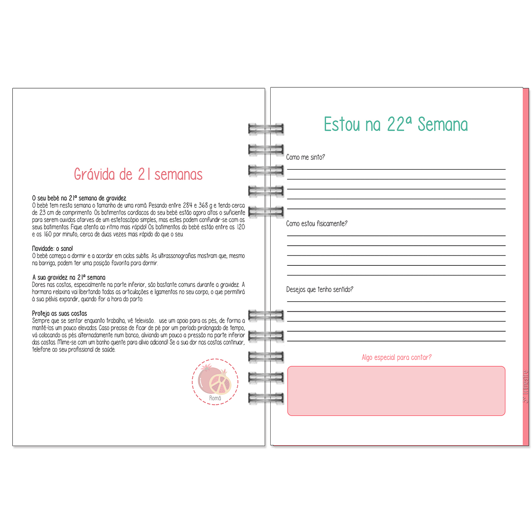 Agenda da Grávida 🤰 14