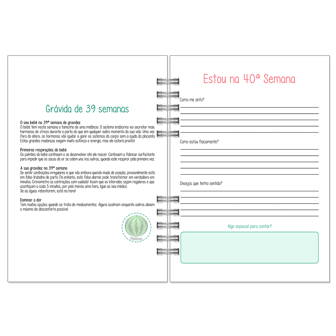 Agenda da Grávida 🤰 17