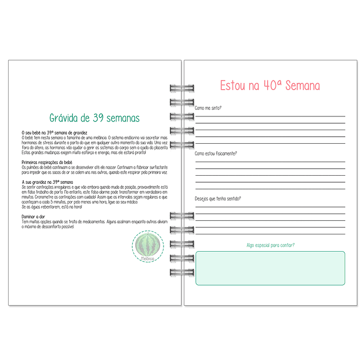 Agenda da Grávida 🤰 17