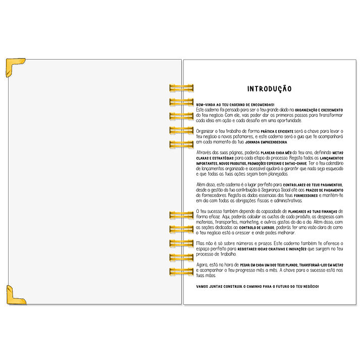 Caderno de Encomendas – Edição Colorida | Organização com Alma Criativa 3