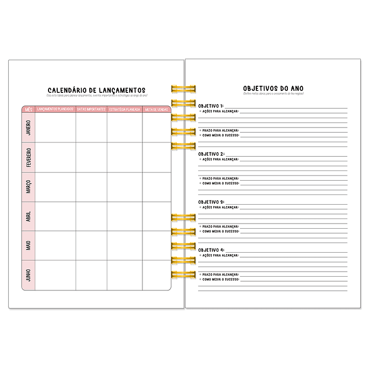 Caderno de Encomendas – Edição Colorida | Organização com Alma Criativa 5