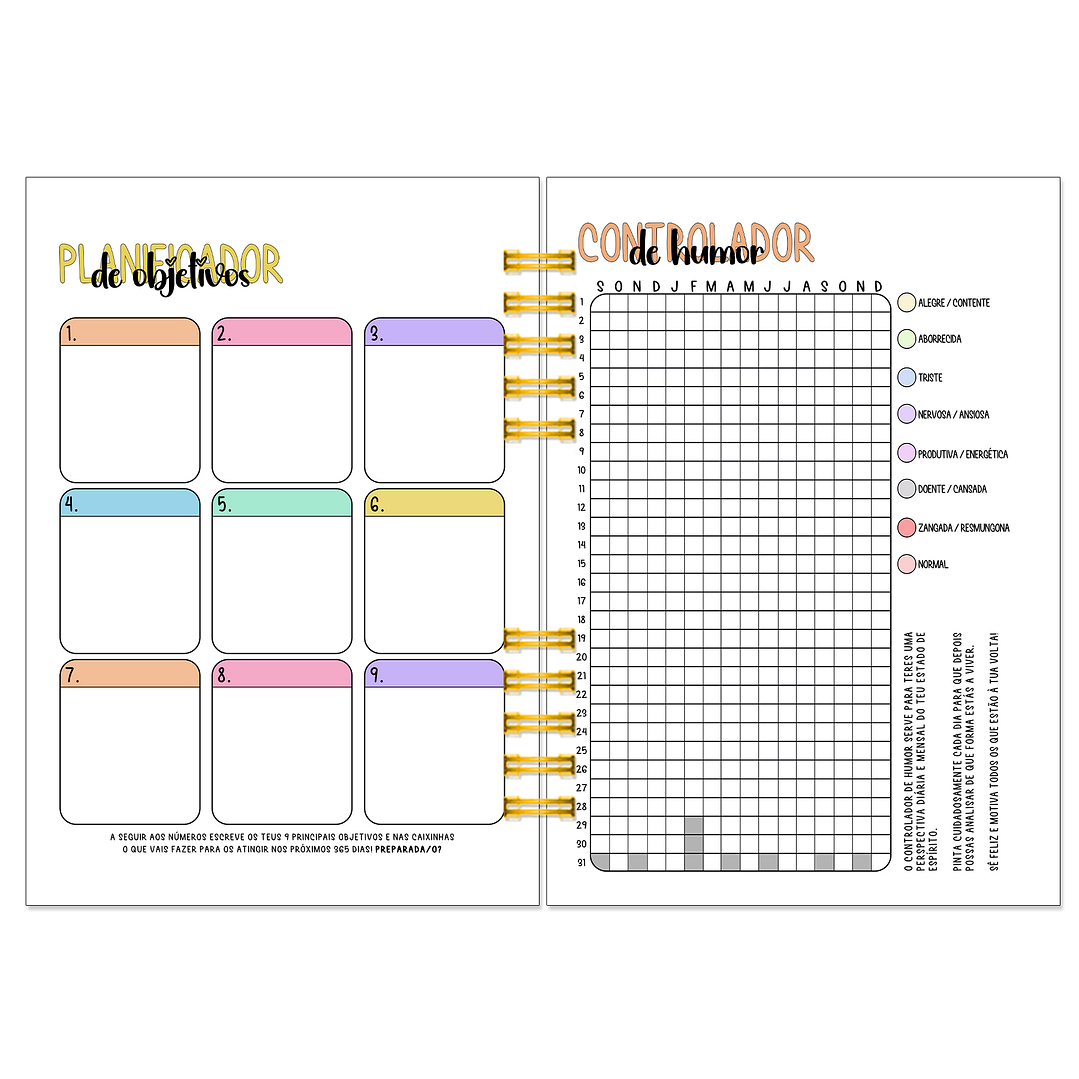 Agenda Semanal 16 Meses + Kit de Oferta 🎁 6
