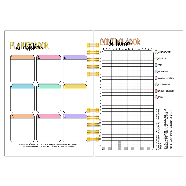 Agenda Semanal 16 Meses + Kit de Oferta 🎁 6